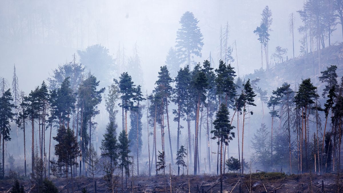 Požáry už letos v Evropě spálily „celou Vysočinu“. Může to být rekordní rok